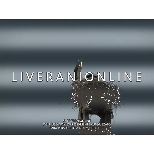 OSJEK CROAZIA 2015 NELLA FOTO LE CICOGNE SU UN TETTO DI UN EDIFICIO AG ALDO LIVERANI SAS