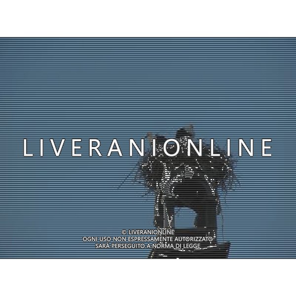 OSJEK CROAZIA 2015 NELLA FOTO LE CICOGNE SU UN TETTO DI UN EDIFICIO AG ALDO LIVERANI SAS