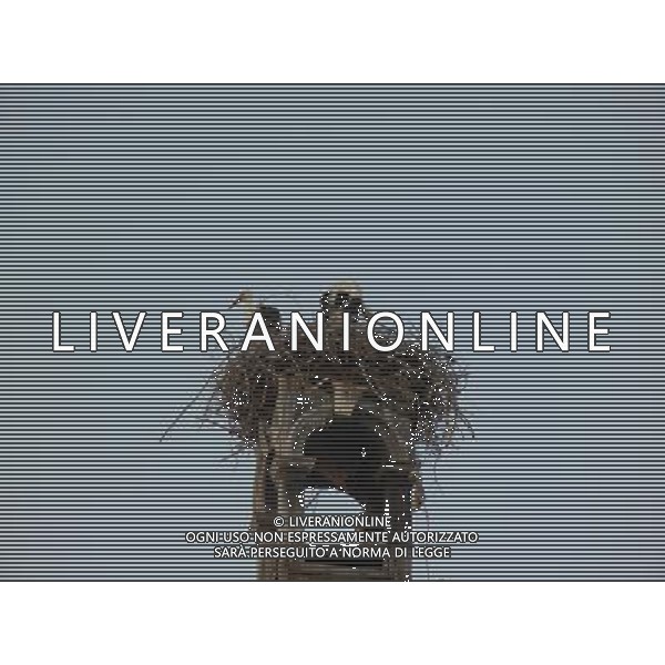 OSJEK CROAZIA 2015 NELLA FOTO LE CICOGNE SU UN TETTO DI UN EDIFICIO AG ALDO LIVERANI SAS