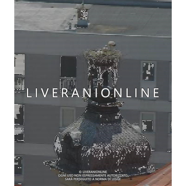 OSJEK CROAZIA 2015 NELLA FOTO LE CICOGNE SU UN TETTO DI UN EDIFICIO AG ALDO LIVERANI SAS