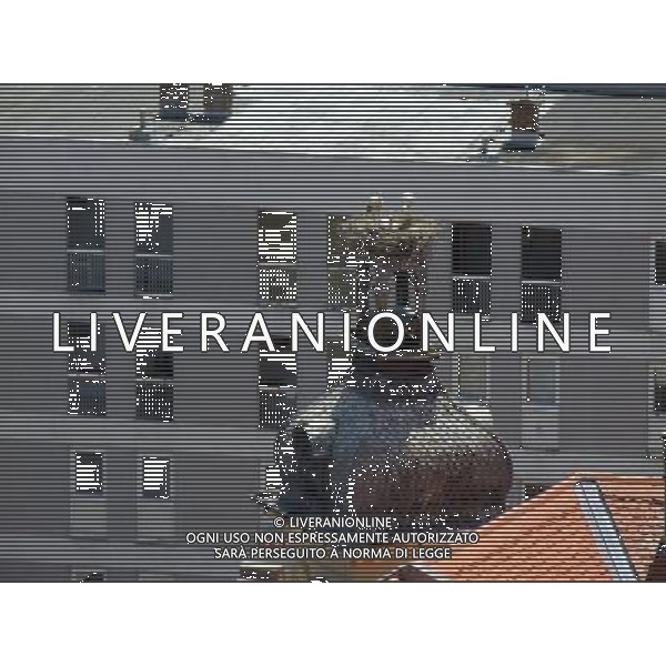 OSJEK CROAZIA 2015 NELLA FOTO LE CICOGNE SU UN TETTO DI UN EDIFICIO AG ALDO LIVERANI SAS