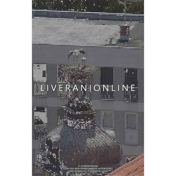 OSJEK CROAZIA 2015 NELLA FOTO LE CICOGNE SU UN TETTO DI UN EDIFICIO AG ALDO LIVERANI SAS