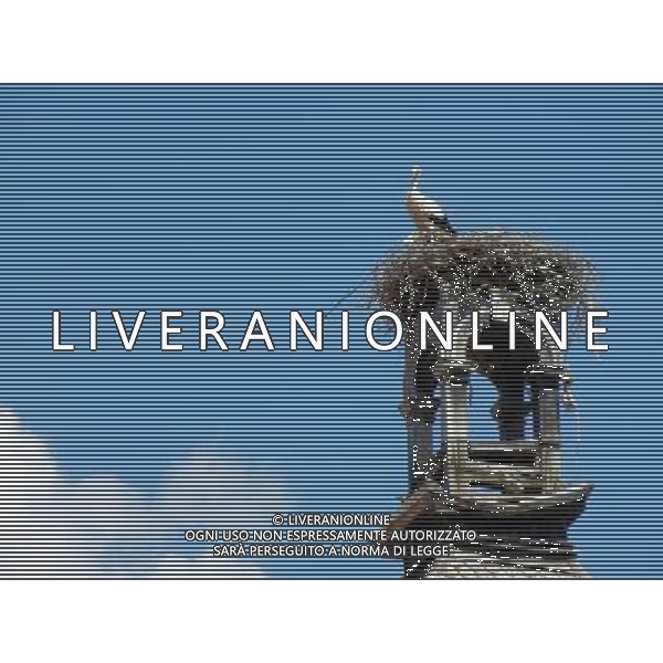 OSJEK CROAZIA 2015 NELLA FOTO LE CICOGNE SU UN TETTO DI UN EDIFICIO AG ALDO LIVERANI SAS