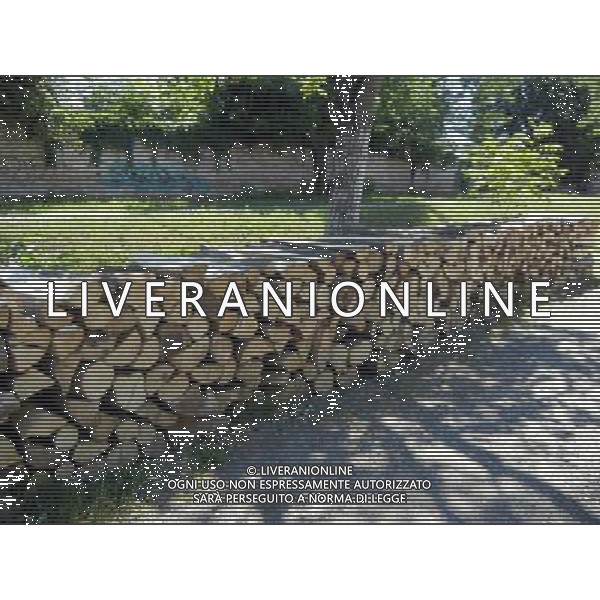 OSJEK CROAZIA 2015 NELLA FOTO PANORAMICA DELLA CITTA DI OSJEK AG ALDO LIVERANI SAS 