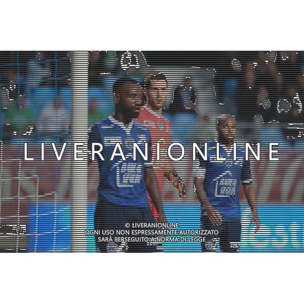 Denis PETRIC - 23.09.2015 - Troyes / Saint Etienne - 7eme journee Ligue 1 Photo : Nolwenn Le Gouic / Icon Sport /AGENZIA ALDO LIVERANI Sas - ITALY ONLY - EDITORIAL USE ONLY