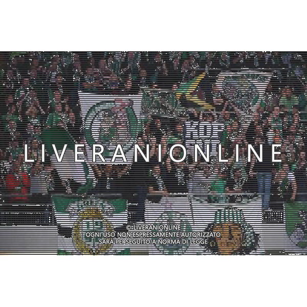 supporters Saint Etienne - 23.09.2015 - Troyes / Saint Etienne - 7eme journee Ligue 1 Photo : Nolwenn Le Gouic / Icon Sport /AGENZIA ALDO LIVERANI Sas - ITALY ONLY - EDITORIAL USE ONLY
