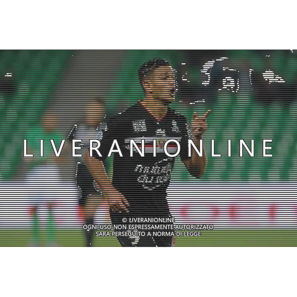 JOIE DE Hatem BEN ARFA - 27.09.2015 - Saint Etienne / Nice - 8eme journee de Ligue 1 Photo : Jean Paul Thomas / Icon Sport AG ALDO LIVERANI SAS ONLY ITALY