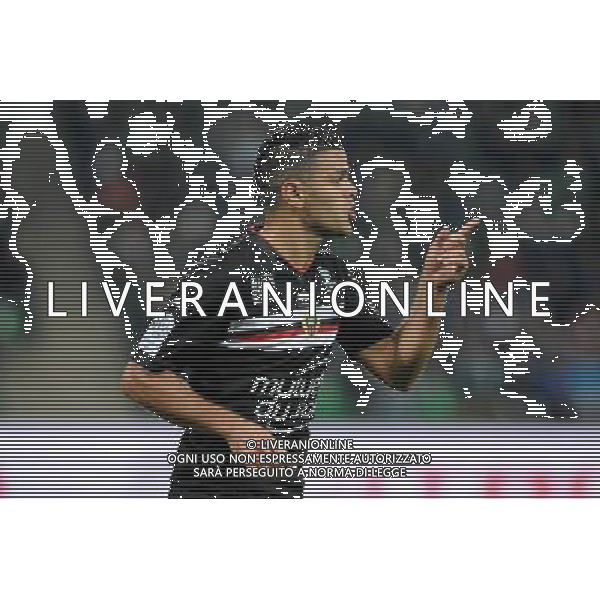JOIE DE Hatem BEN ARFA - 27.09.2015 - Saint Etienne / Nice - 8eme journee de Ligue 1 Photo : Jean Paul Thomas / Icon Sport AG ALDO LIVERANI SAS ONLY ITALY