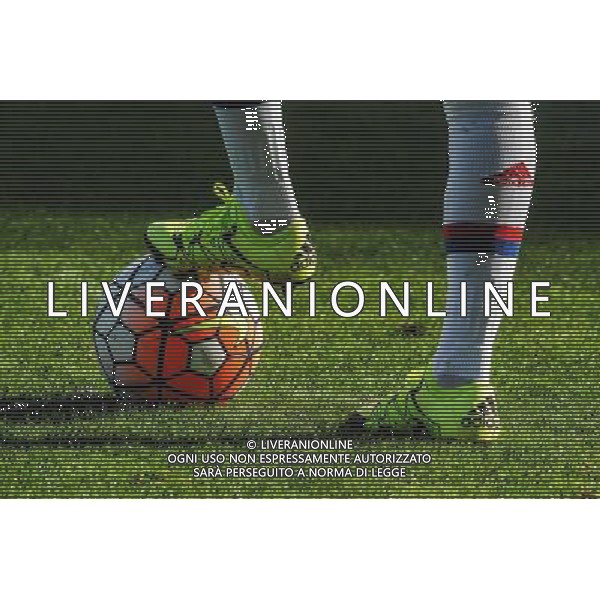 ILLUSTRATION - 27.09.2015 - Lyon / PSG - 4eme journee de Division 1 Feminine Photo : Jean Paul Thomas / Icon Sport *** Local Caption *** AG ALDO LIVERANI SAS ONLY ITALY *** Local Caption *** AG ALDO LIVERANI SAS ONLY ITALY