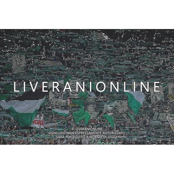 Supporters Saint Etienne - 27.09.2015 - Saint Etienne / Nice - 8eme journee de Ligue 1 Photo : Jean Paul Thomas / Icon Sport AG ALDO LIVERANI SAS ONLY ITALY