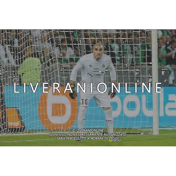 Stephane RUFFIER - 27.09.2015 - Saint Etienne / Nice - 8eme journee de Ligue 1 Photo : Jean Paul Thomas / Icon Sport AG ALDO LIVERANI SAS ONLY ITALY