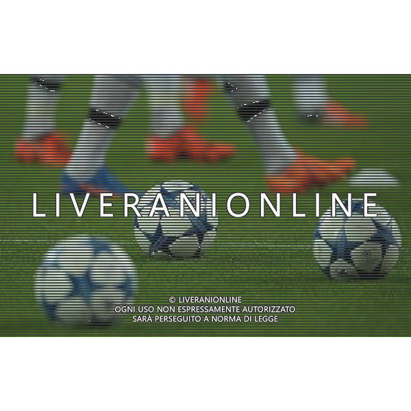 UEFA Champions League 2015/2016 Group Stage D Torino - 30.09.2015 Juventus-Siviglia Nella Foto:Calcio Palloni /Ph.Vitez-Ag. Aldo Liverani