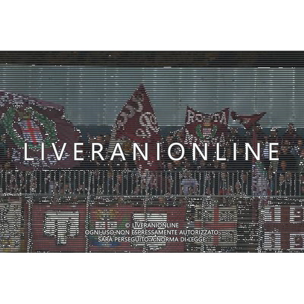 Campionato di Calcio Lega Pro 2015/2016 Mantova - 03.10.2015 Mantova-Reggiana Nella Foto:Tifosi Reggiana /Ph.Vitez-Ag. Aldo Liverani