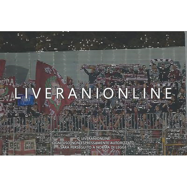 Campionato di Calcio Lega Pro 2015/2016 Mantova - 03.10.2015 Mantova-Reggiana Nella Foto:Tifosi Reggiana /Ph.Vitez-Ag. Aldo Liverani