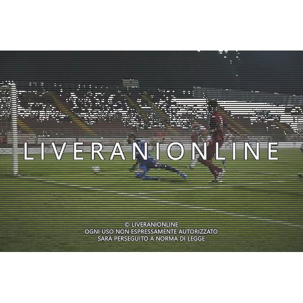 Campionato di Calcio Lega Pro 2015/2016 Mantova - 03.10.2015 Mantova-Reggiana Nella Foto:Gol Arma /Ph.Vitez-Ag. Aldo Liverani