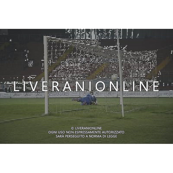 Campionato di Calcio Lega Pro 2015/2016 Mantova - 03.10.2015 Mantova-Reggiana Nella Foto:Gol Giannone /Ph.Vitez-Ag. Aldo Liverani