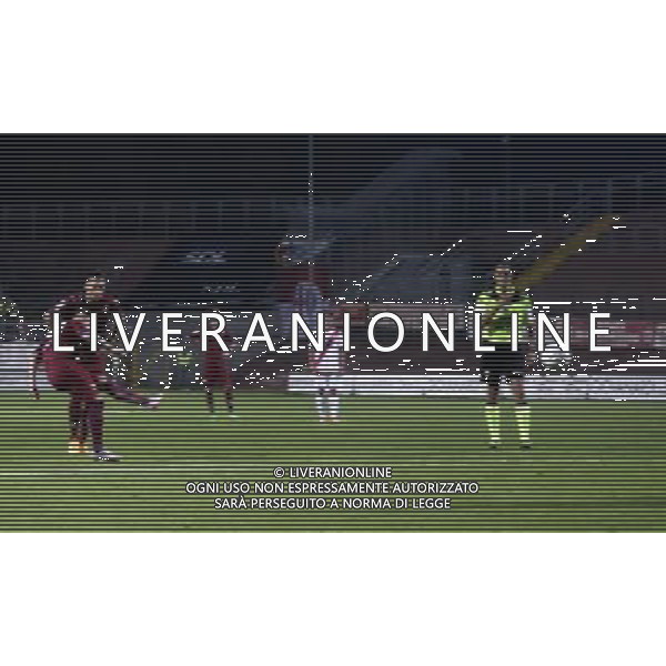 Campionato di Calcio Lega Pro 2015/2016 Mantova - 03.10.2015 Mantova-Reggiana Nella Foto:Gol Giannone /Ph.Vitez-Ag. Aldo Liverani