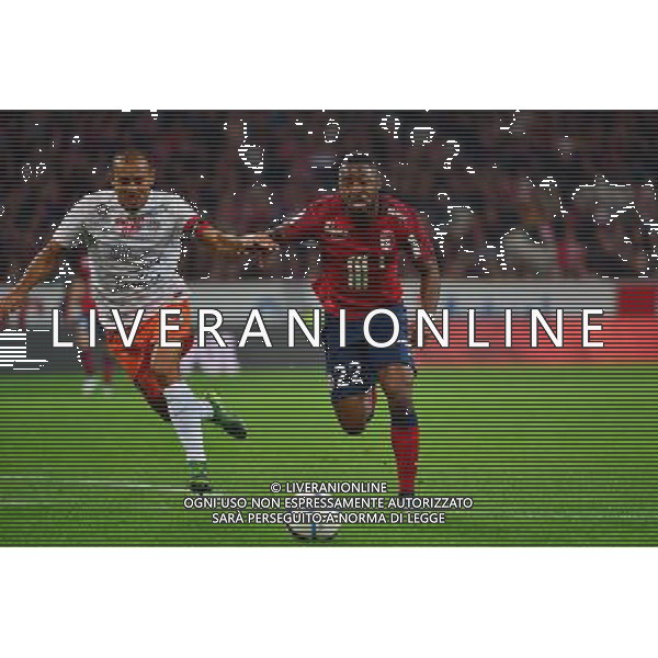 Junior TALLO / Vitorino HILTON - 02.10.2015 - Lille / Montpellier - 9eme journee de Ligue 1 Photo : Dave Winter / Icon Sport AG ALDO LIVERANI SAS ONLY ITALY