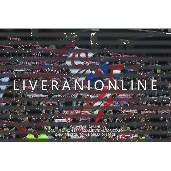 Supporters Lille - 02.10.2015 - Lille / Montpellier - 9e journee de Ligue 1 Photo: Dave Winter / Icon Sport AG ALDO LIVERANI SAS ONLY ITALY
