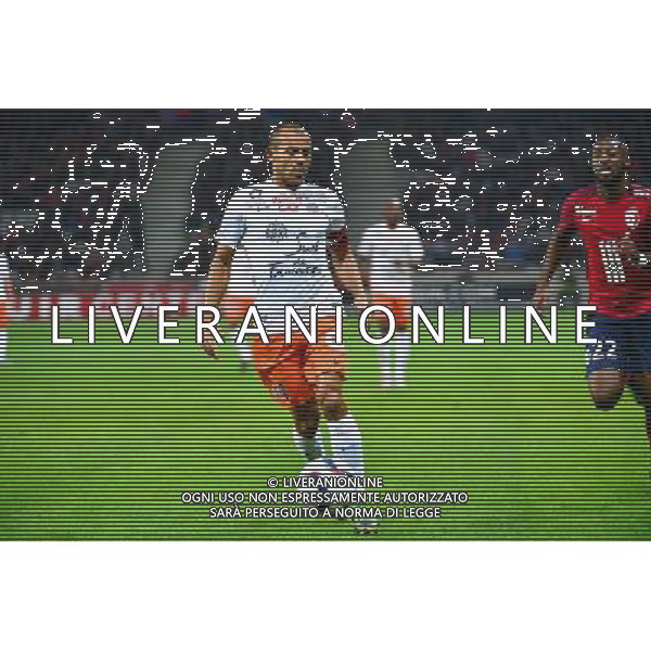 Vitorino HILTON - 02.10.2015 - Lille / Montpellier - 9e journee de Ligue 1 Photo: Dave Winter / Icon Sport AG ALDO LIVERANI SAS ONLY ITALY