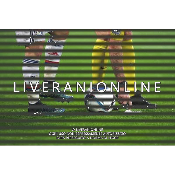 Illustration Spray Arbitre - 03.10.2015 - Lyon / Reims - 9eme journee de Ligue 1 Photo : Jean Paul Thomas / Icon Sport AG ALDO LIVERANI SAS ONLY ITALY