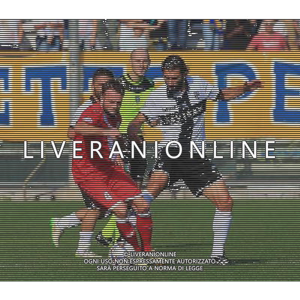 PARMA CORREGGESE \'4-10-2015 NELLA FOTO BACHER-LONGOBARDI AG ALDO LIVERANI SAS