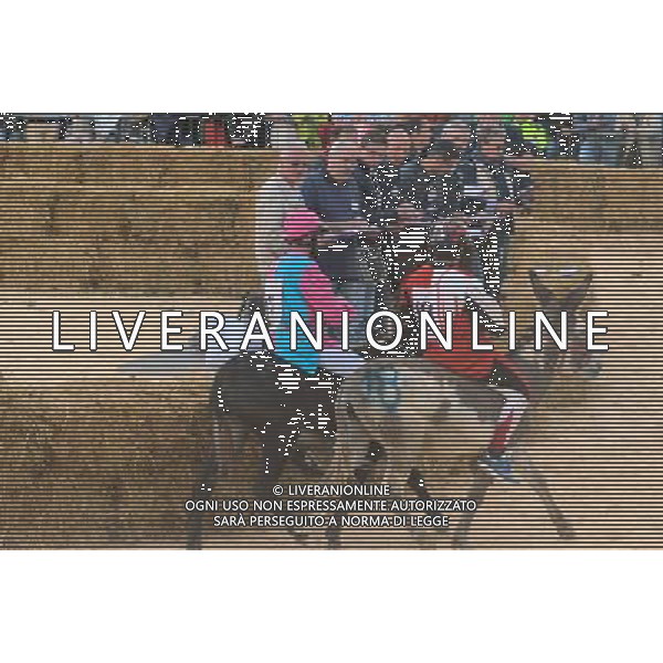 Alba (CN) - italy 04 october 2015: Nel cuore delle langhe si Ã‹ svolto il 4 ottobre 2015, ad Alba, il tradizionale palio degli asini. Vincitore il rione di Santha Rosalia con l\'asino numero 18. Al termine di Ã‹ svolto il palio nel palio, cioÃ‹ la sfida tra le cittâ€¡ gemellate con Alba: Medford (stati uniti), BanskÂ· BËstrica (ex cecoslovacchia), BË†blingen (germania), Beausoleil (francia), Arlon (belgio), Sant Cugat )spagna)./Agenzia Aldo Liverani s.a.s./Agenzia Aldo Liverani s.a.s.