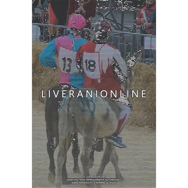 Alba (CN) - italy 04 october 2015: Nel cuore delle langhe si Ã‹ svolto il 4 ottobre 2015, ad Alba, il tradizionale palio degli asini. Vincitore il rione di Santha Rosalia con l\'asino numero 18. Al termine di Ã‹ svolto il palio nel palio, cioÃ‹ la sfida tra le cittâ€¡ gemellate con Alba: Medford (stati uniti), BanskÂ· BËstrica (ex cecoslovacchia), BË†blingen (germania), Beausoleil (francia), Arlon (belgio), Sant Cugat )spagna)./Agenzia Aldo Liverani s.a.s./Agenzia Aldo Liverani s.a.s.