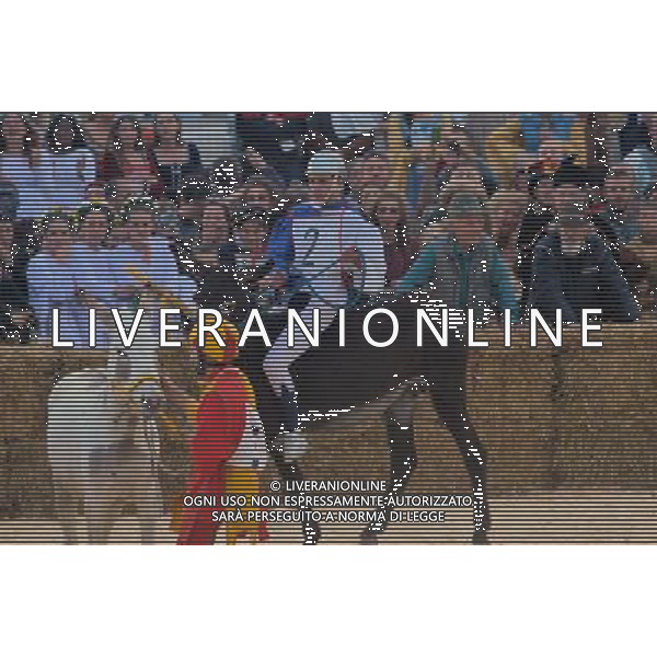 Alba (CN) - italy 04 october 2015: Nel cuore delle langhe si Ã‹ svolto il 4 ottobre 2015, ad Alba, il tradizionale palio degli asini. Vincitore il rione di Santha Rosalia con l\'asino numero 18. Al termine di Ã‹ svolto il palio nel palio, cioÃ‹ la sfida tra le cittâ€¡ gemellate con Alba: Medford (stati uniti), BanskÂ· BËstrica (ex cecoslovacchia), BË†blingen (germania), Beausoleil (francia), Arlon (belgio), Sant Cugat )spagna)./Agenzia Aldo Liverani s.a.s./Agenzia Aldo Liverani s.a.s.