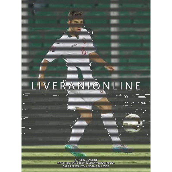 6-9-15 Palermo : italia - bulgaria Qualificazioni europei 2016 Nella foto: chochev ivaylo GIUSEPPE SERGI/AG ALDO LIVERANI SAS 
