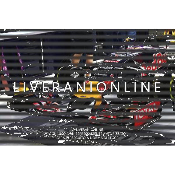 Red Bull Racing RB11 of Daniel Ricciardo (AUS) Red Bull Racing. 09.10.2015. Formula 1 World Championship, Rd 15, Russian Grand Prix, Sochi Autodrom, Sochi, Russia, Practice Day. - www.xpbimages.com, EMail: requests@xpbimages.com - copy of publication required for printed pictures. Every used picture is fee-liable. © Copyright: Batchelor / XPB Images /Agenzia Aldo Liverani s.a.s.