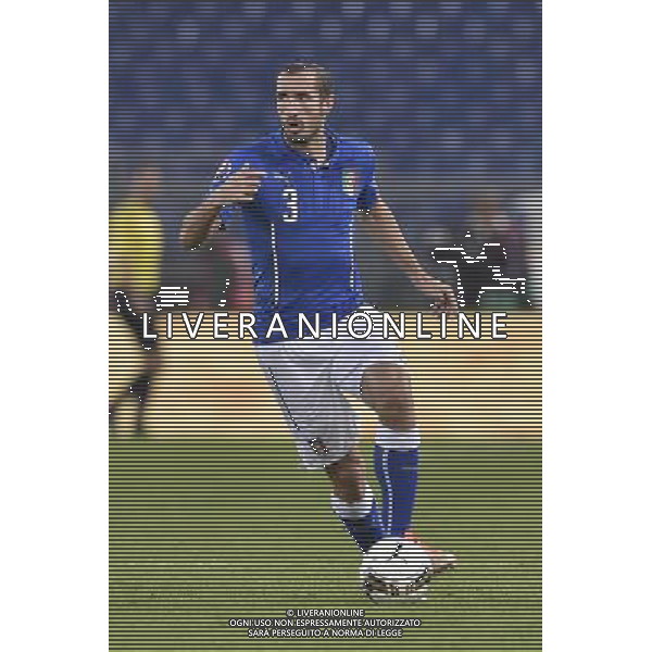 Roma - 13/10/2015 - Stadio Olimpico - Qualificazioni Euro 2016 - Italia vs Norvegia - nella foto: Giorgio Chiellini / Ph. Fabrizio Corradetti - Ag. Aldo Liverani Sas