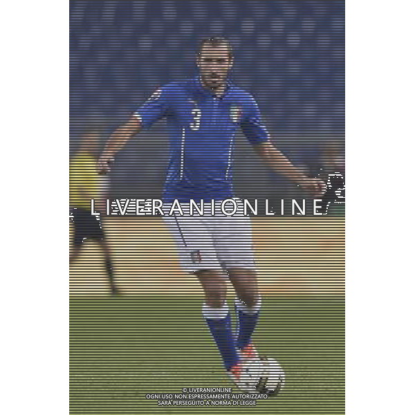 Roma - 13/10/2015 - Stadio Olimpico - Qualificazioni Euro 2016 - Italia vs Norvegia - nella foto: Giorgio Chiellini / Ph. Fabrizio Corradetti - Ag. Aldo Liverani Sas