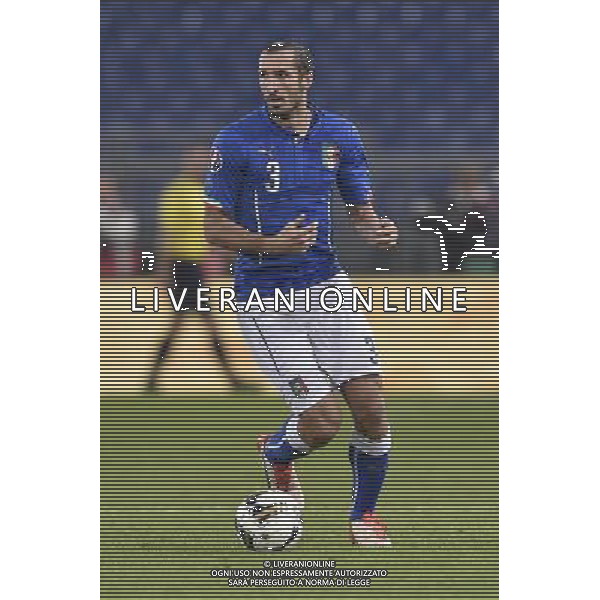 Roma - 13/10/2015 - Stadio Olimpico - Qualificazioni Euro 2016 - Italia vs Norvegia - nella foto: Giorgio Chiellini / Ph. Fabrizio Corradetti - Ag. Aldo Liverani Sas