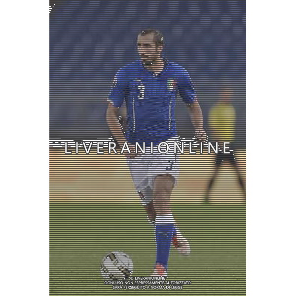 Roma - 13/10/2015 - Stadio Olimpico - Qualificazioni Euro 2016 - Italia vs Norvegia - nella foto: Giorgio Chiellini / Ph. Fabrizio Corradetti - Ag. Aldo Liverani Sas