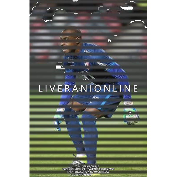 Vincent ENYEAMA - 17.10.2015 - Guingamp / Lille - 10eme journee de Ligue1 Photo : Vincent Michel / Icon Sport/ Ag. Aldo Liverani Sas - ITALY ONLY - EDITORIAL USE ONLY