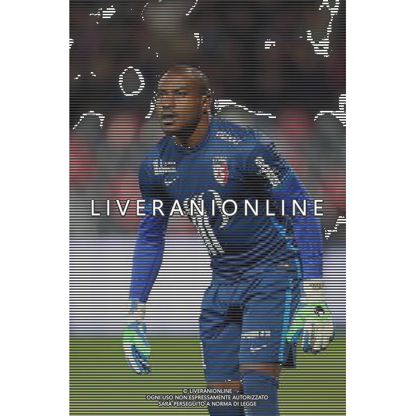 Vincent ENYEAMA - 17.10.2015 - Guingamp / Lille - 10eme journee de Ligue1 Photo : Vincent Michel / Icon Sport/ Ag. Aldo Liverani Sas - ITALY ONLY - EDITORIAL USE ONLY