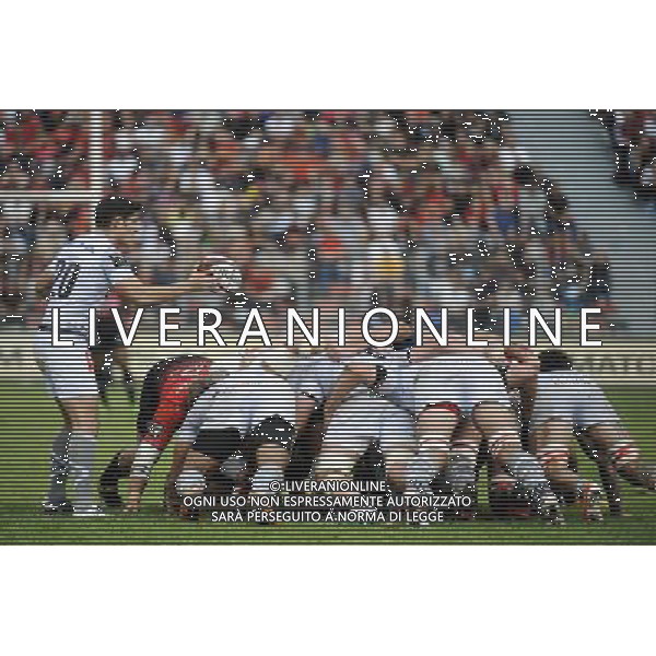 Fabien CIBRAY - 24.10.2015 - Toulon / Oyonnax - 6eme journee de Top 14 Photo : Agence Nice Presse / Icon Sport AG ALDO LIVERANI SAS ONLY ITALY