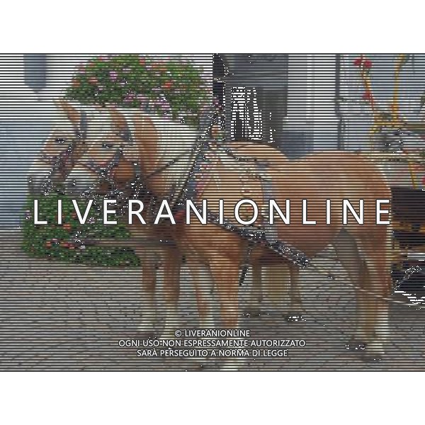 BRESSANONE OTTORE 2015 FESTA DEL PANE E DELLO STRUDEL NELLA FOTO I CAVALLI AG ALDO LIVERANI SA