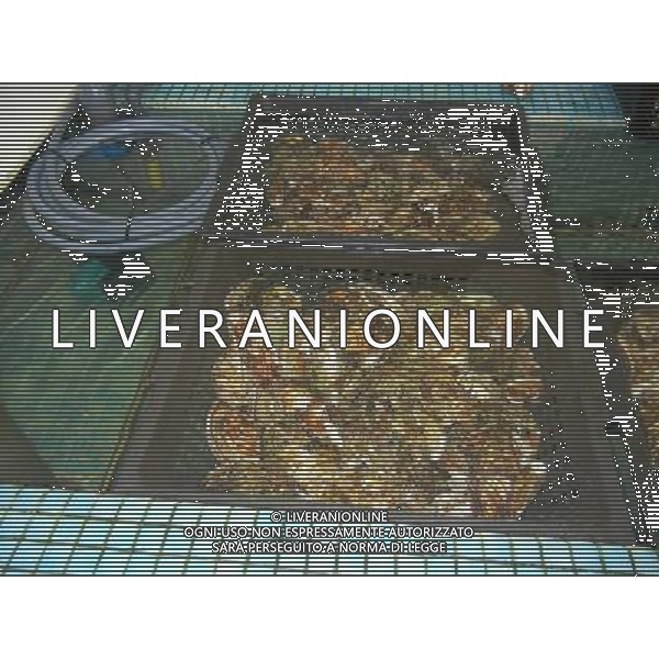 FRANCIA 08-10-2015 IL RISTORANTE TIPICO DI VENDITA DI OSTRICHE NELLA FOTO IL RISTORANTE TIPICO DI VENDITA DI OSTRICHE LE PERLE DI GROUSSAIN AG ALDO LIVERANI SAS