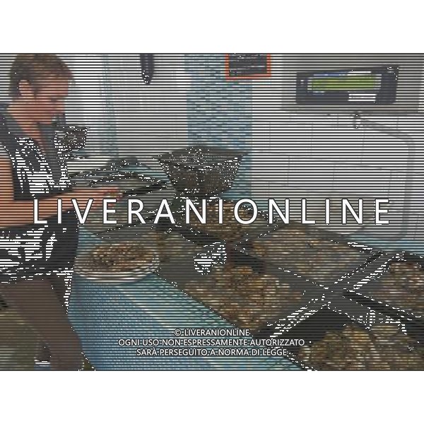 FRANCIA 08-10-2015 IL RISTORANTE TIPICO DI VENDITA DI OSTRICHE NELLA FOTO IL RISTORANTE TIPICO DI VENDITA DI OSTRICHE LE PERLE DI GROUSSAIN AG ALDO LIVERANI SAS