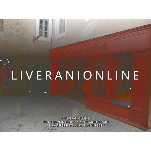 FRANCIA 2015 CARCASSONE NELLA FOTO Carcassonne  una cittˆ francese situata nel dipartimento dell\'Aude, del quale  capoluogo, nella regione della Linguadoca-Rossiglione AG ALDO LIVERANI SAS