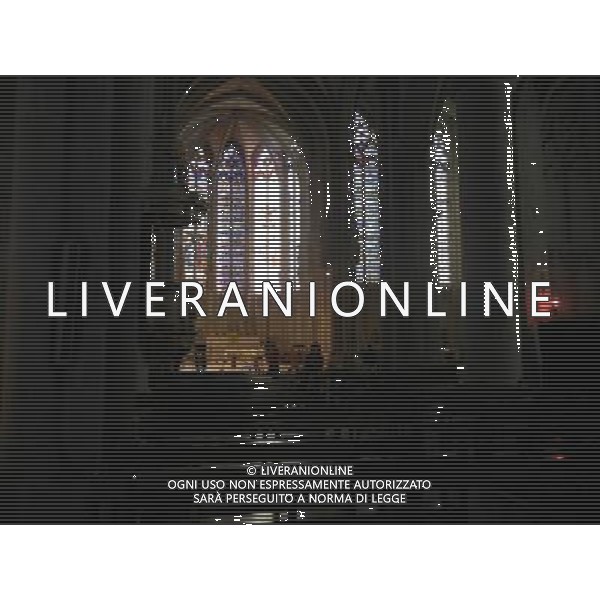 FRANCIA 2015 CARCASSONE NELLA FOTO Carcassonne  una cittˆ francese situata nel dipartimento dell\'Aude, del quale  capoluogo, nella regione della Linguadoca-Rossiglione AG ALDO LIVERANI SAS