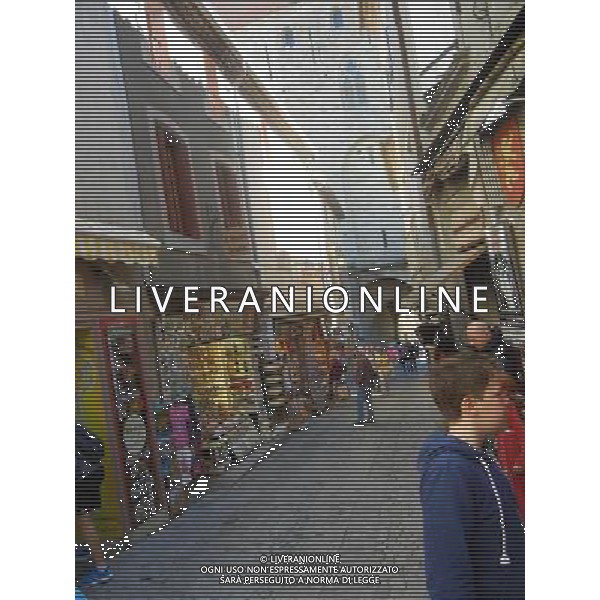 FRANCIA 2015 CARCASSONE NELLA FOTO Carcassonne  una cittˆ francese situata nel dipartimento dell\'Aude, del quale  capoluogo, nella regione della Linguadoca-Rossiglione AG ALDO LIVERANI SAS