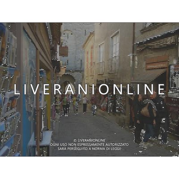 FRANCIA 2015 CARCASSONE NELLA FOTO Carcassonne  una cittˆ francese situata nel dipartimento dell\'Aude, del quale  capoluogo, nella regione della Linguadoca-Rossiglione AG ALDO LIVERANI SAS