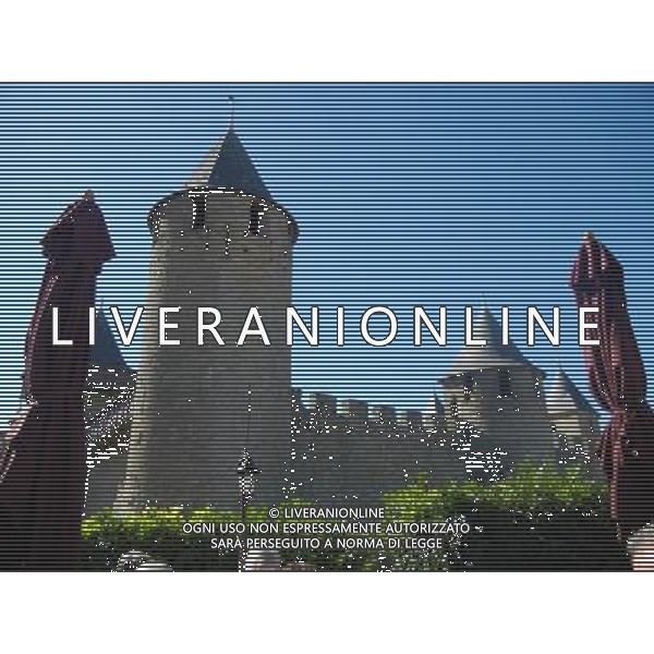 FRANCIA 2015 CARCASSONE NELLA FOTO Carcassonne  una cittˆ francese situata nel dipartimento dell\'Aude, del quale  capoluogo, nella regione della Linguadoca-Rossiglione AG ALDO LIVERANI SAS