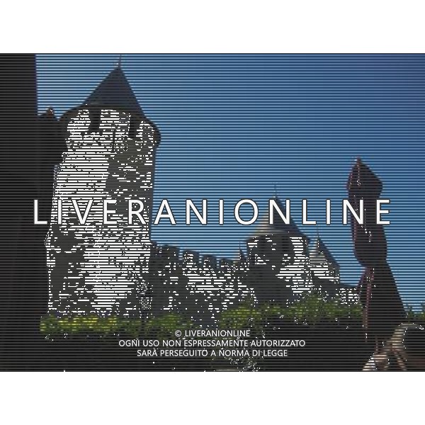 FRANCIA 2015 CARCASSONE NELLA FOTO Carcassonne  una cittˆ francese situata nel dipartimento dell\'Aude, del quale  capoluogo, nella regione della Linguadoca-Rossiglione AG ALDO LIVERANI SAS