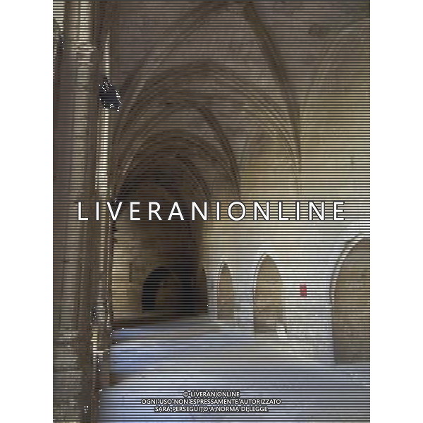 FRANCIA NARBONNE CITTA 2015 NELLA FOTO ALCUNE VEDUTE DI NARBONNE LA CATTEDRALE AG ALDO LIVERANI SAS