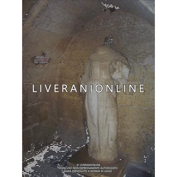 FRANCIA NARBONNE CITTA 2015 NELLA FOTO ALCUNE VEDUTE DI NARBONNE LA CATTEDRALE AG ALDO LIVERANI SAS