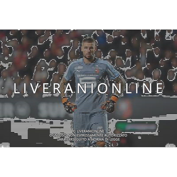 Benoit Costil - 30.10.2015 - Rennes / PSG - 12eme journee de Ligue 1 Photo : Andre Ferreira / Icon Sport/AGENZIA ALDO LIVERANI SAS - ITALY ONLY EDITORIAL USE ONLY